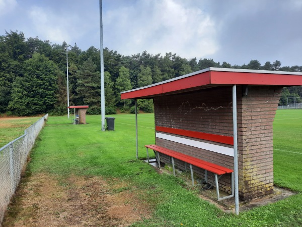 Sportpark Het Nieuwland veld 2 - Rheden-Dieren