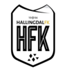Wappen Hallingdal IF