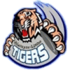 Wappen Azam Tigers FC  32077