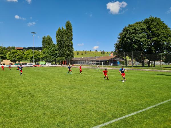 Sportplatz Sporrer - Winterthur