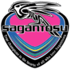 Wappen Sagan Tosu   8180