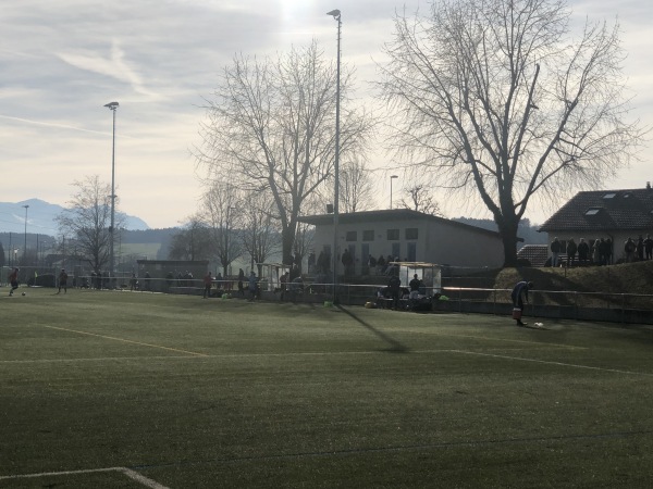 Arena Hochdorf Kunstrasenplatz - Hochdorf