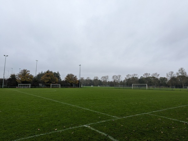 Sportpark De Horst veld 4 - Zeewolde