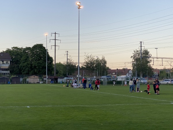 Sportplatz Talwiesen - Winterthur