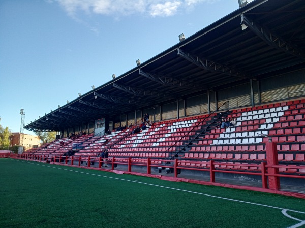 Estadio Amelia del Castillo - Pinto, MD