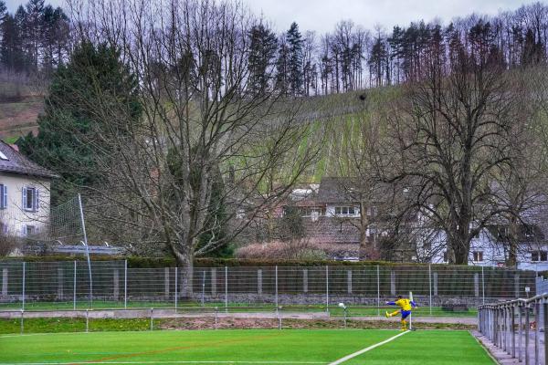 Rodeck-Stadion Nebenplatz 1 - Kappelrodeck-Waldulm
