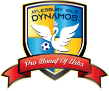 Wappen Aylesbury Vale Dynamos FC  44318