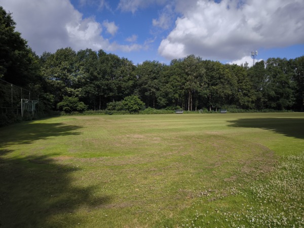 Sportpark De Wijchert veld 6 - Wijchen