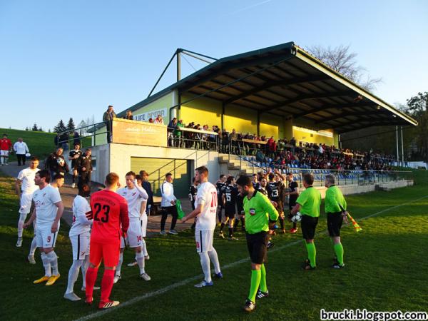 iLife arena - Seitenstetten