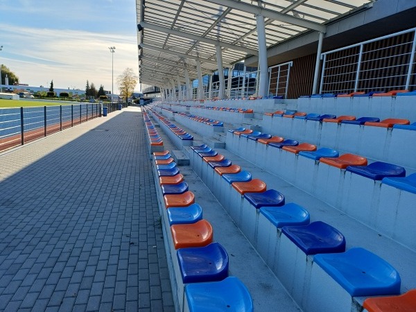 Stadion RCS (Regionalne Centrum Sportowa) - Lubin