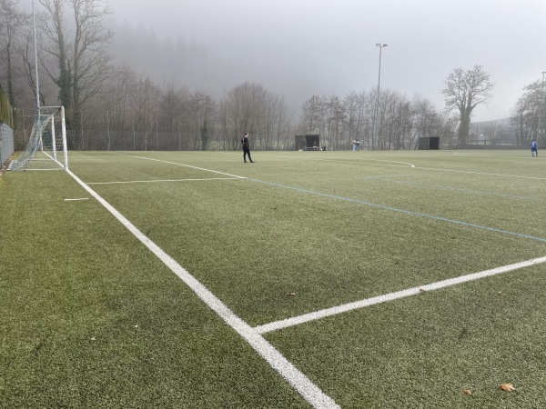 Sportzentrum Hornberg Platz 2 - Hornberg