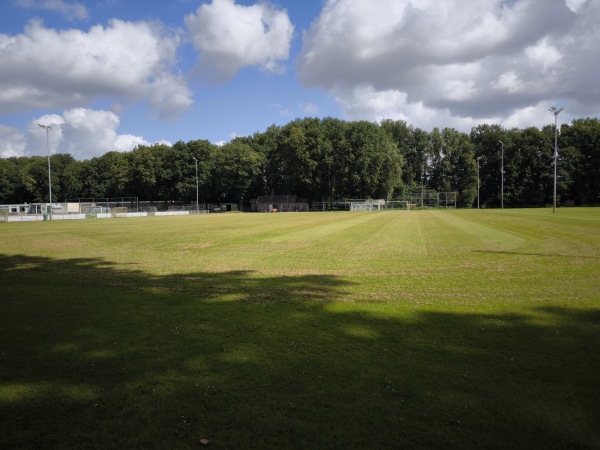 Sportpark De Wijchert veld 3 - Wijchen