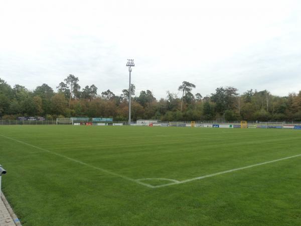 Stadion im Dietmar-Hopp-Sportpark - Walldorf