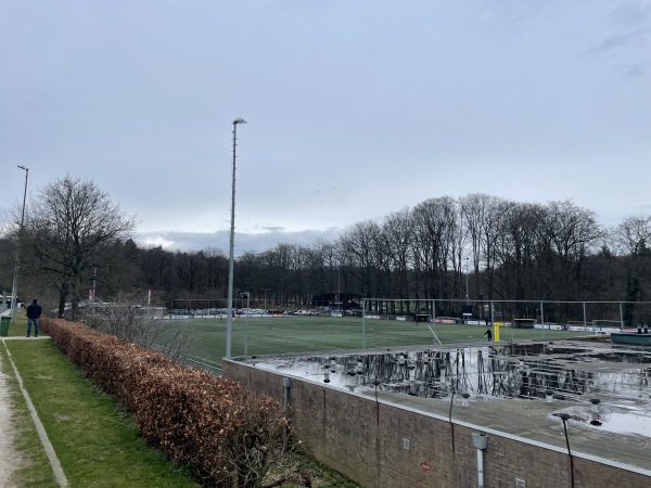 Sportpark De Pinkenberg veld 3-DVOV / Veluwezoom - Rozendaal