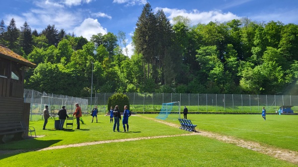 Sportanlage Schefflenztalstraße - Billigheim/Baden