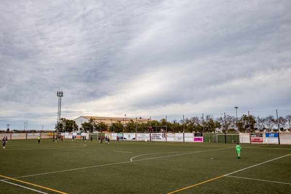 Camp del Pla II - Alcácer (Alcàsser), VC