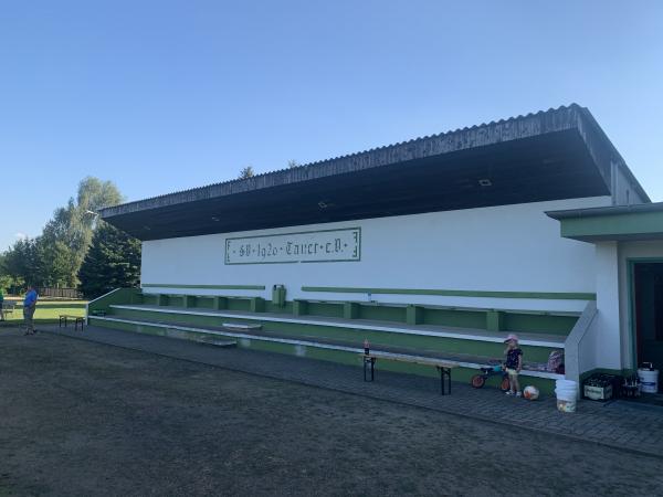 Sportplatz Tauer - Tauer