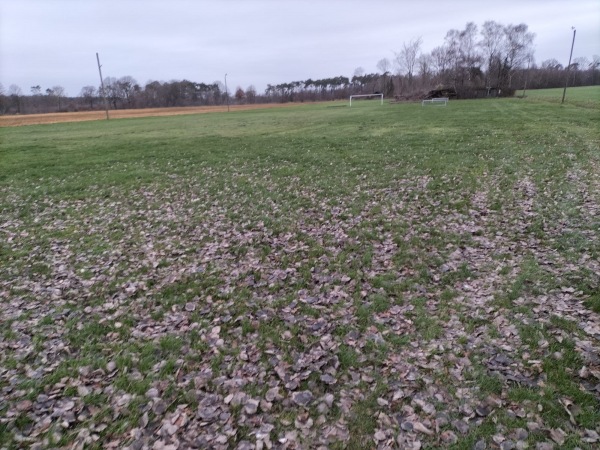 Löwenzahnstadion - Borken/Westfalen