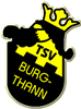 Wappen TSV Burgthann 1930 diverse