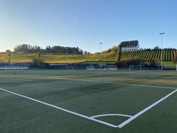 Sportanlage Chrummen Platz 3 - Freienbach