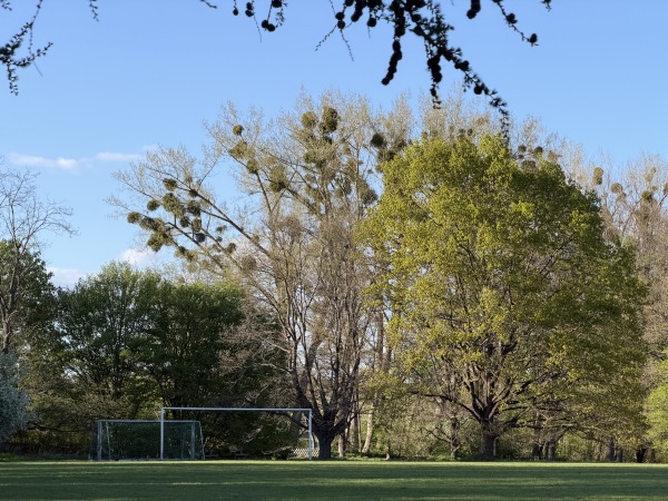 Sportanlage Lünischteich - Braunschweig