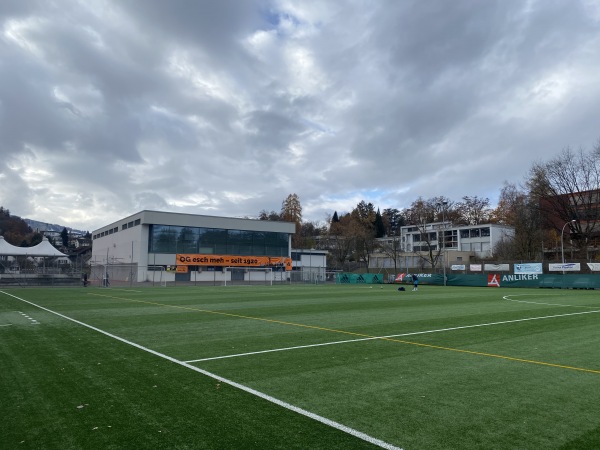 Sportplatz Wartegg - Luzern