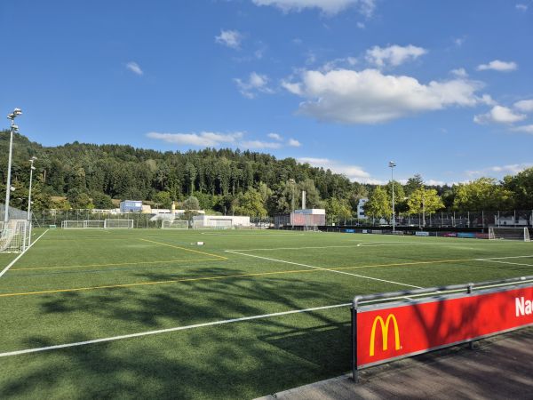 Sportplatz Lättich Platz 3 - Baar