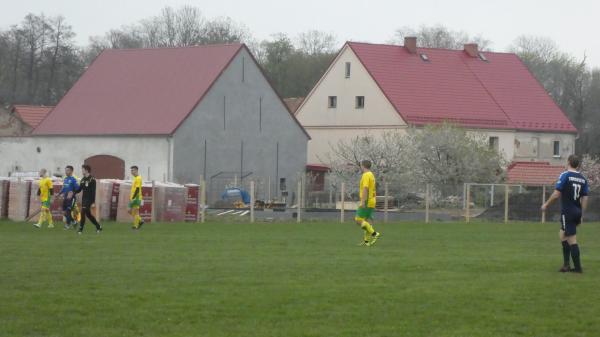 Boisko w Piotrowice - Piotrowice