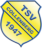 Wappen TSV 1947 Collenberg II