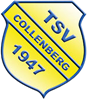 Wappen TSV 1947 Collenberg diverse