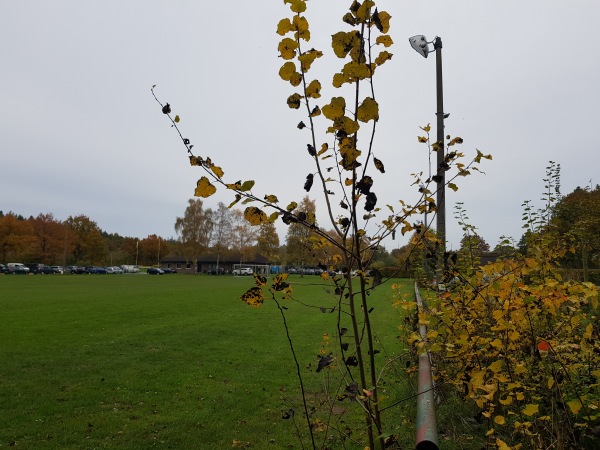 Waldstadion B-Platz - Dersau