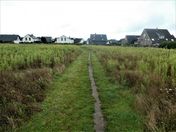 Sportplatz Am Hallenbad - Hamminkeln