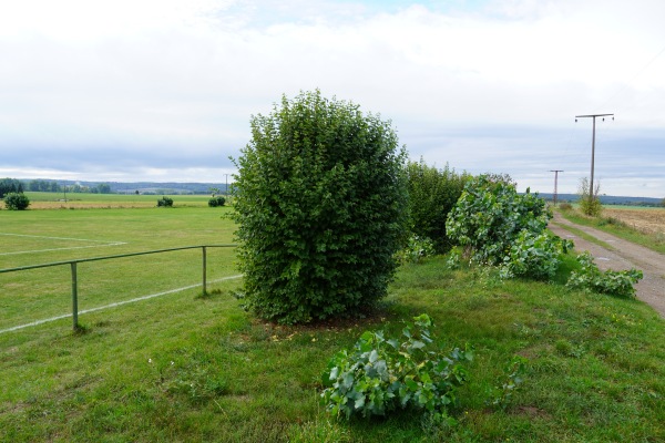 Sportplatz Steinberg - Erxleben/Börde-Klein Bartensleben