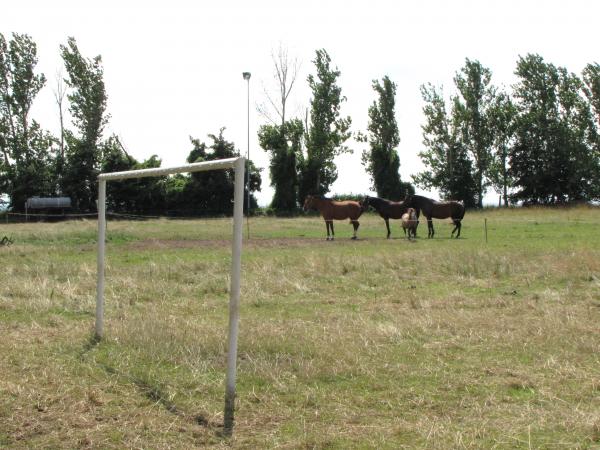 Sportplatz Höhnstedt 2 - Salzatal-Höhnstedt