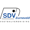 Wappen SDV Barneveld (Sterk Door Vriendschap) diverse