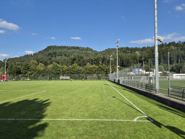 Sportplatz Lättich Platz 2 - Baar
