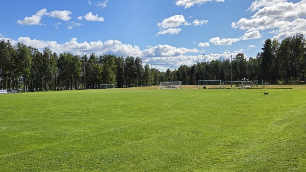 Vesslamon - Bjuråker