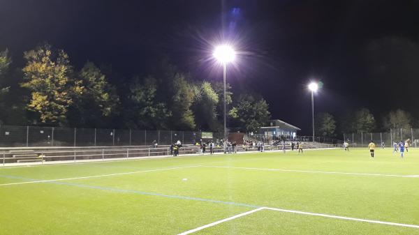 Sportzentrum Altkönigschule Platz 2 - Kronberg/Taunus