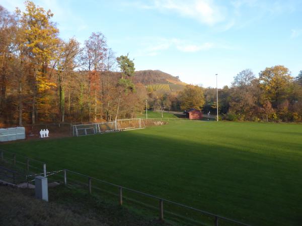 Forchenwaldstadion Nebenplatz - Vaihingen/Enz-Ensingen