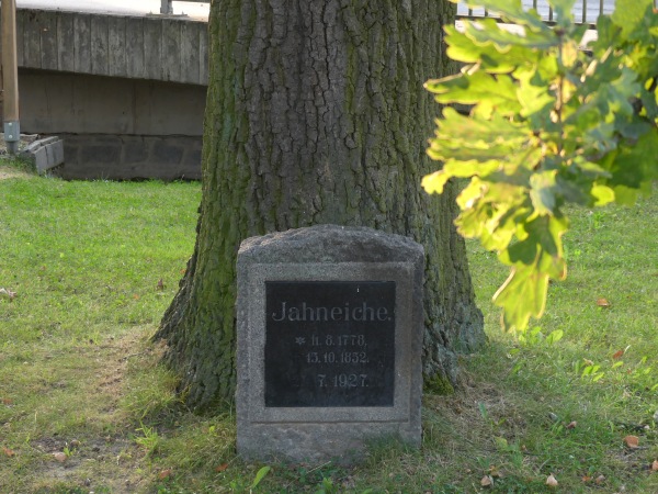 Sportplatz Herwigsdorf - Rosenbach/Oberlausitz-Herwigsdorf