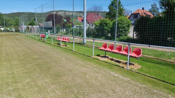 Sportplatz an der Hörselberghalle - Wutha-Farnroda