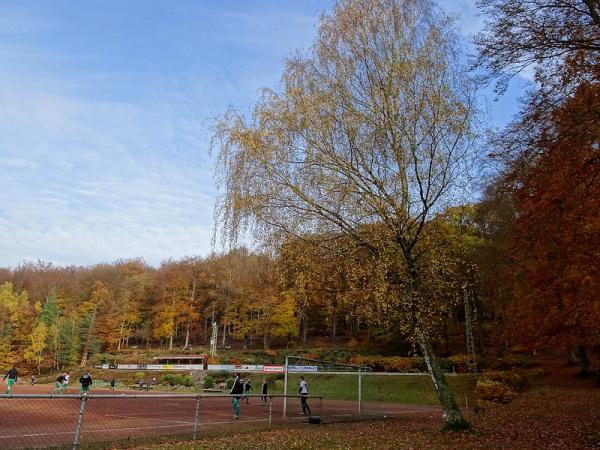 Sportplatz Im Buchenwald - Bosenbach