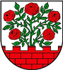 Wappen SV Rot-Weiß Groß Rosenburg 1956