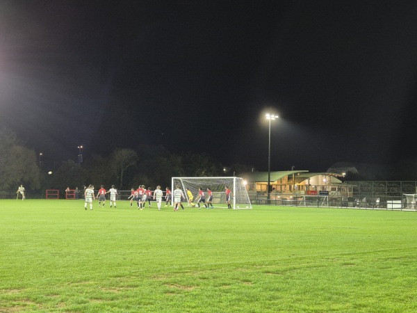 Seddon Field 3 - Auckland