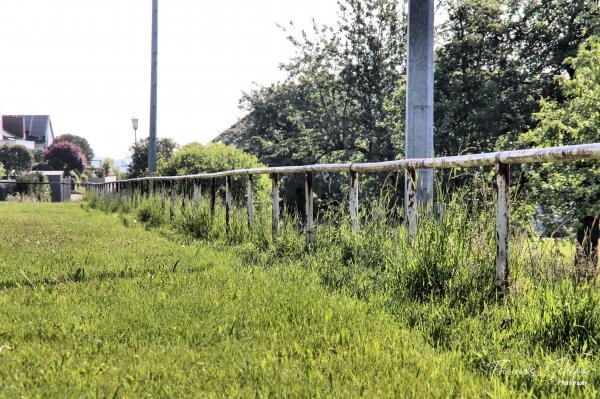 Sportplatz Blumenstraße - Haigerloch-Trillfingen