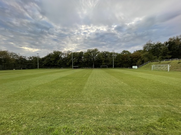 Sportplatz Am Wäldchen - Waldems-Niederems