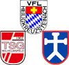 Wappen SpG Heiligkreuzsteinach II / Wilhelmsfeld / Altenbach (Ground A)  123350