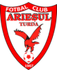 Wappen ACS Sticla Arieșul Turda  5229
