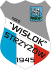 Wappen MKS Wisłok Strzyżów