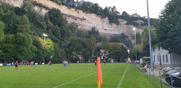 Terrain de Derrière-les-Jardins - Fribourg